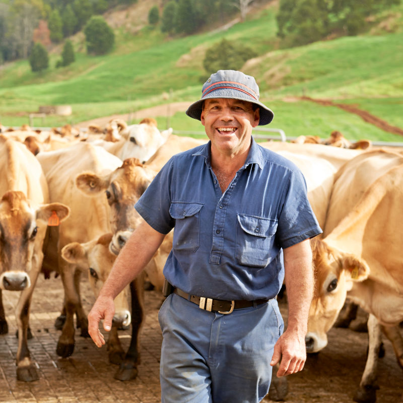 Devondale farmers photo