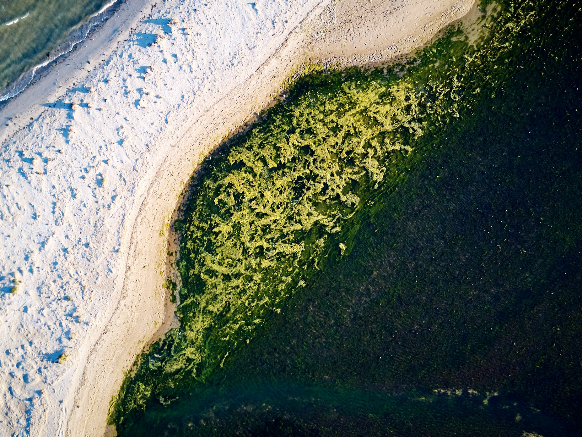 Cheetham Wetlands - Melbourne