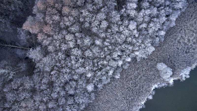 Arreskov Lake - Denmark
