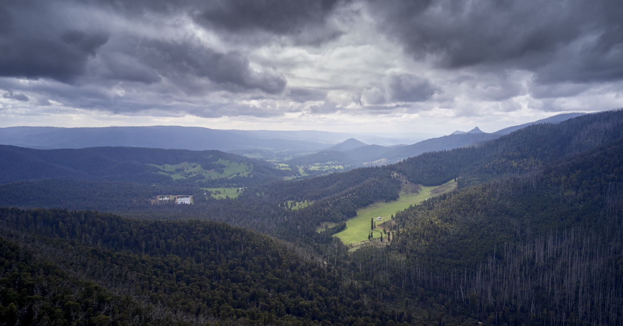 Black Spur 10 years after Black Saturday
