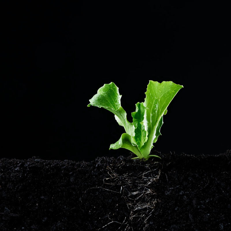 Grolink campaign image