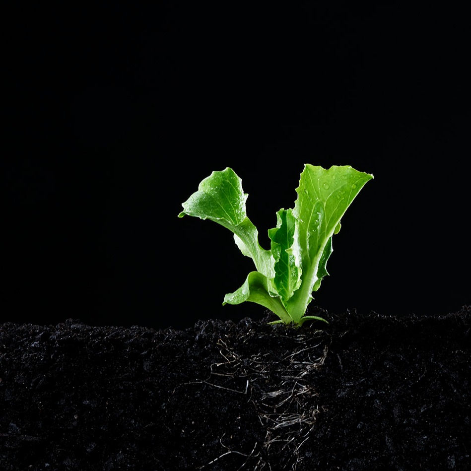 Grolink campaign image