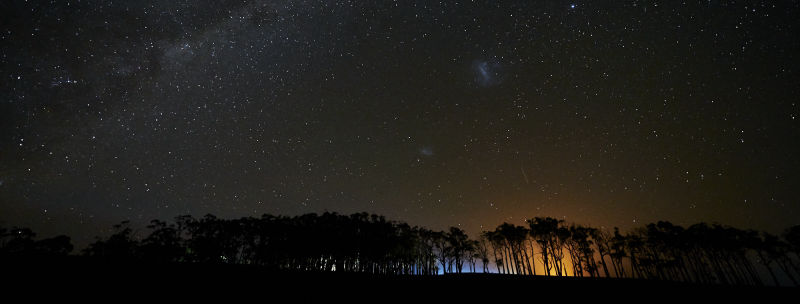 Curdivale - Victoria