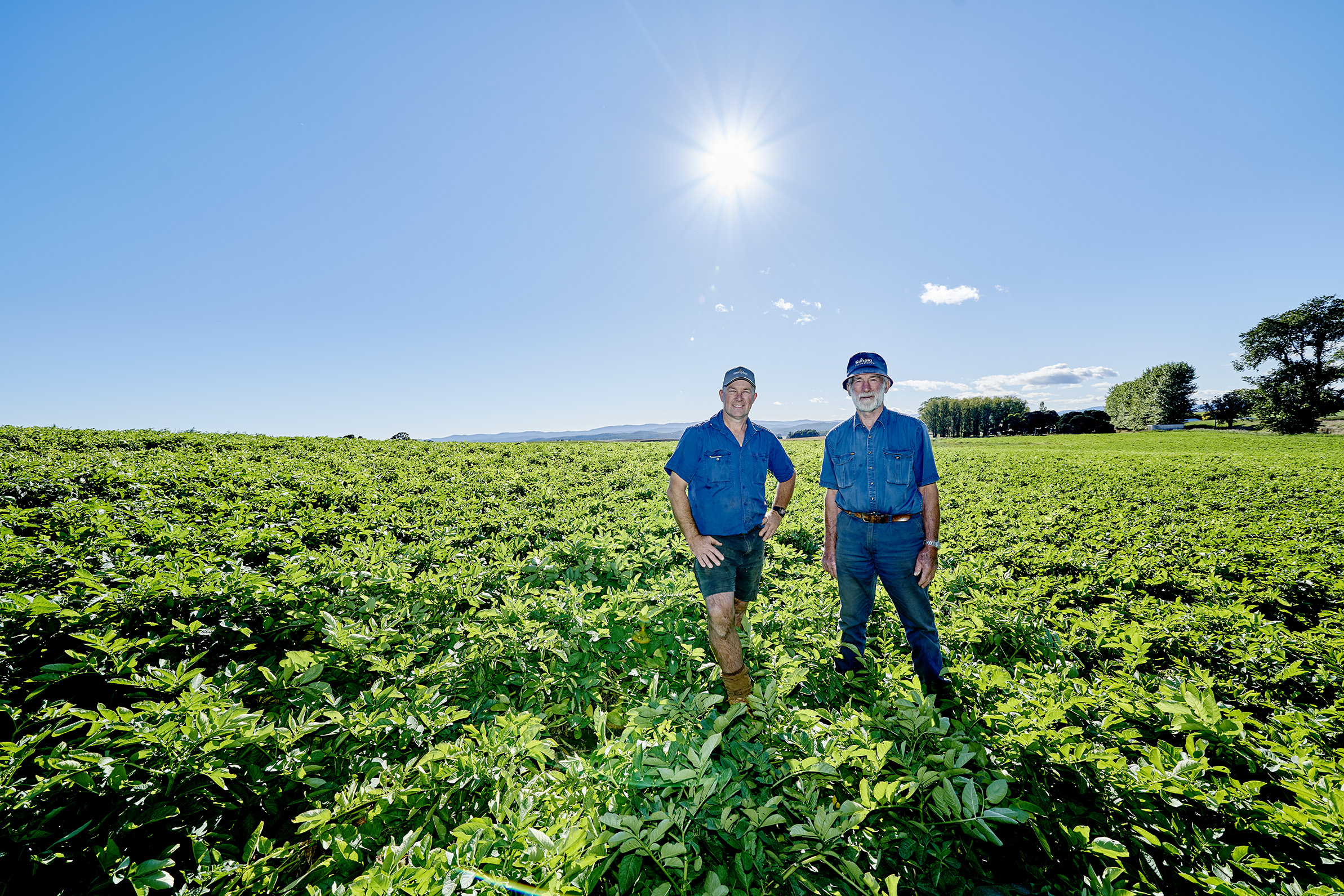 Potato Farmers - Simplot Tasmania