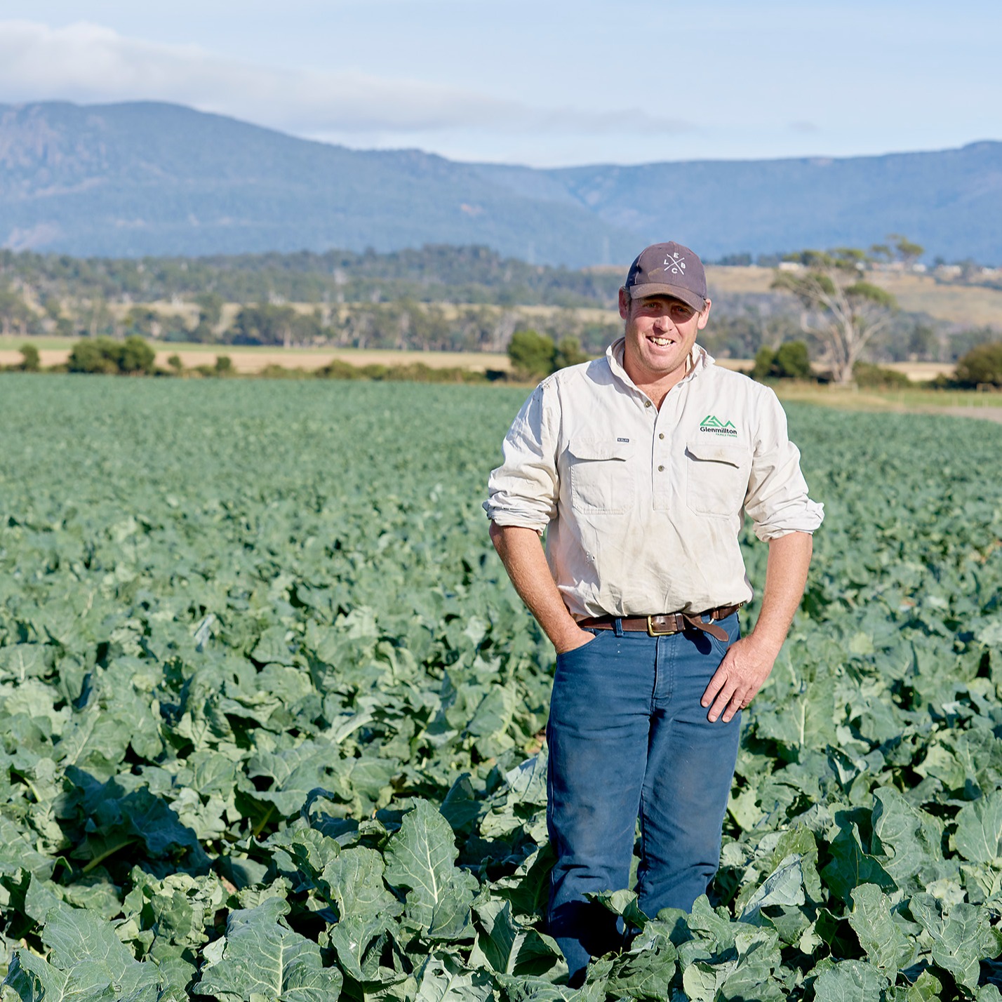 Broccoli grower for for Simplot Australia