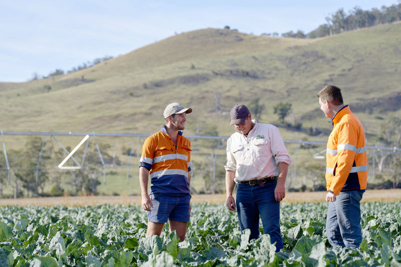 Ag consulting Simplot Australia