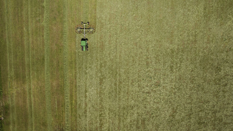 hay bailing for Barenbrug
