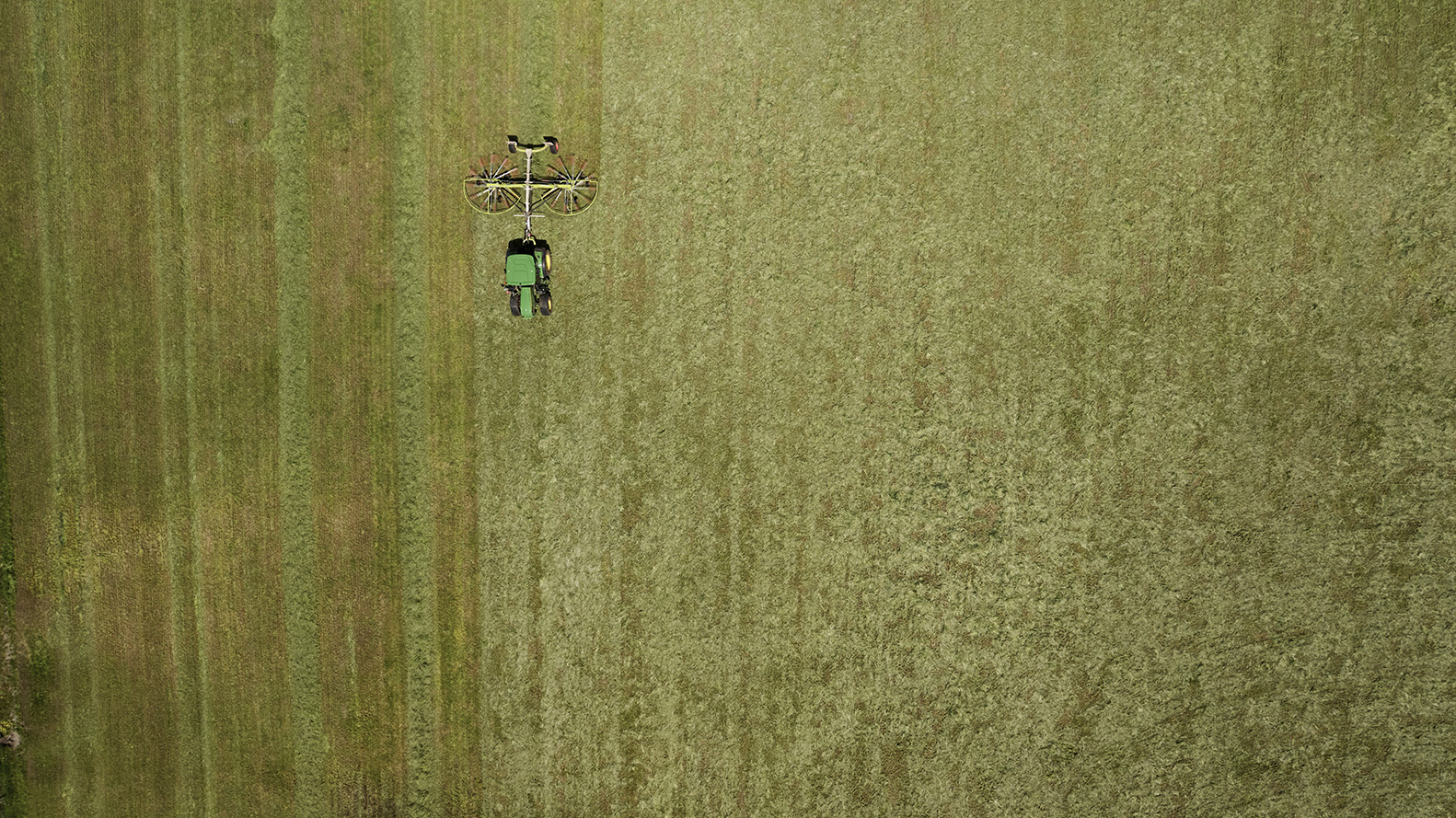 hay bailing for Barenbrug