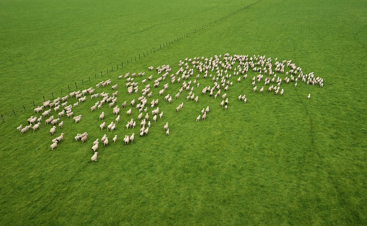 Branding images Barenbrug