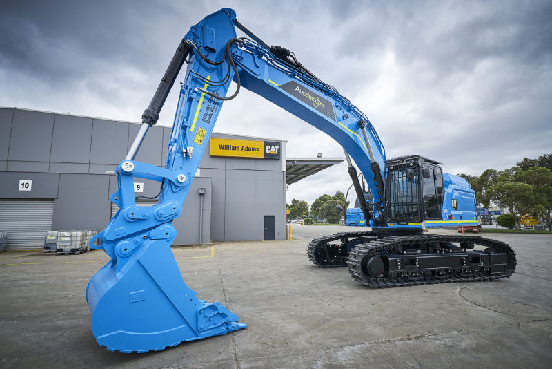 William Adams CAT - Beyond Blue colab