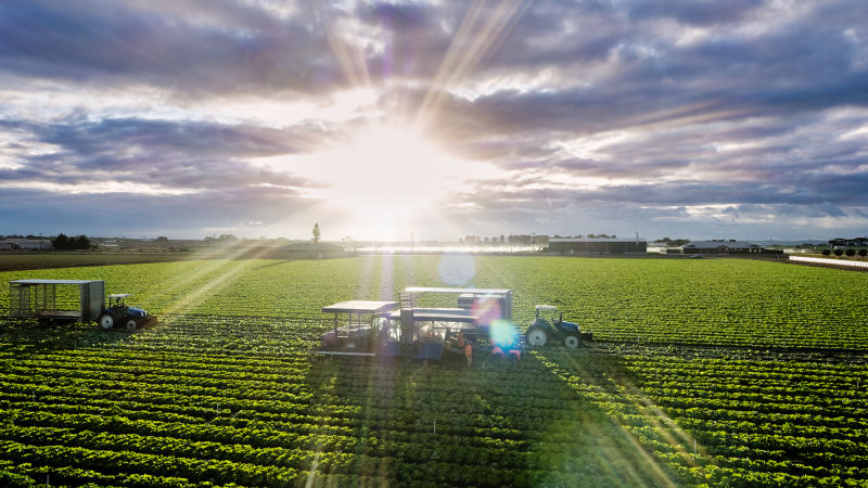 Drone images for Fragapane Farms