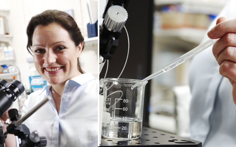 Research paper for Royal Melbourne Hospital